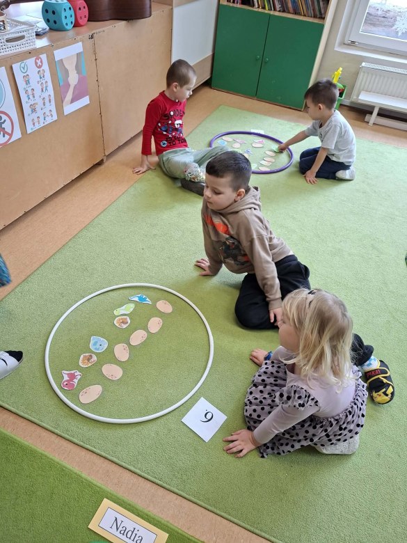 Sówki: Luty 2026 - Zdjęcie 382