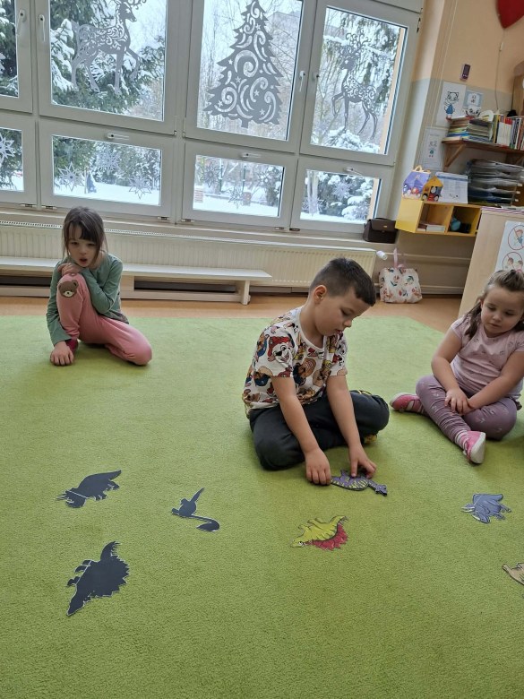 Sówki: Luty 2026 - Zdjęcie 25