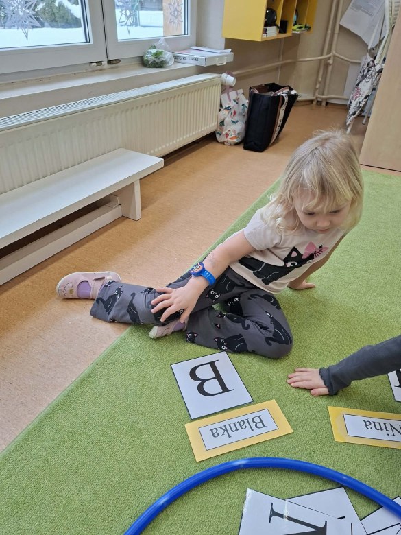 Sówki: Luty 2026 - Zdjęcie 26