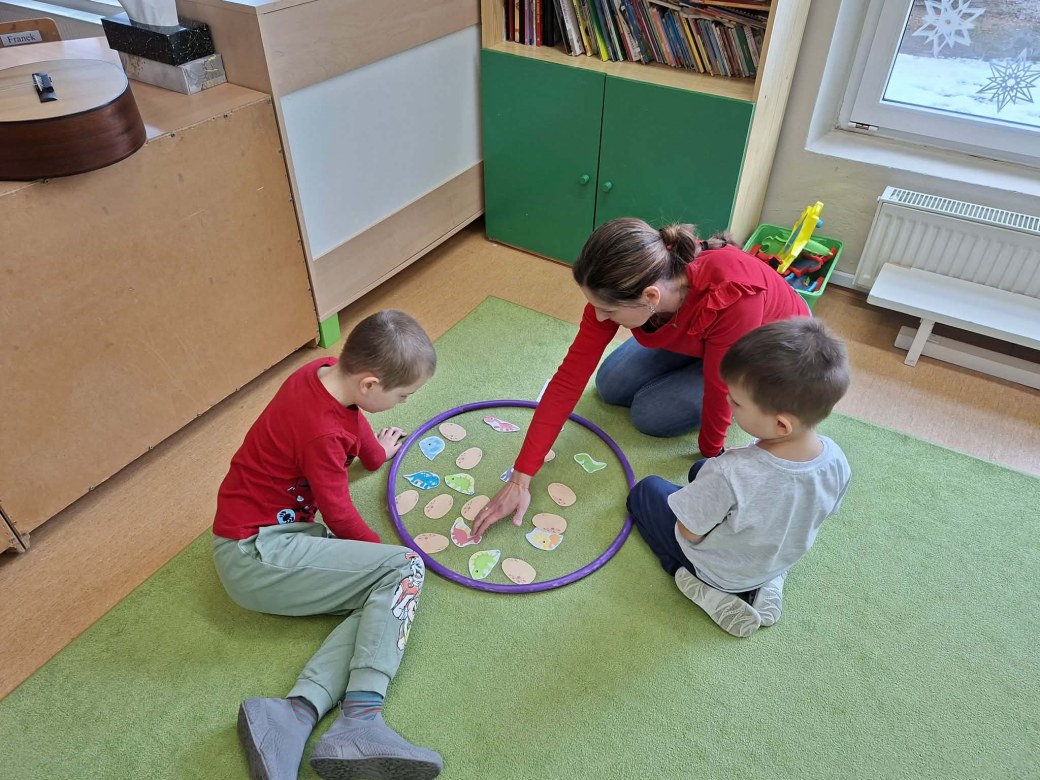 Sówki: Luty 2026 - Zdjęcie 41