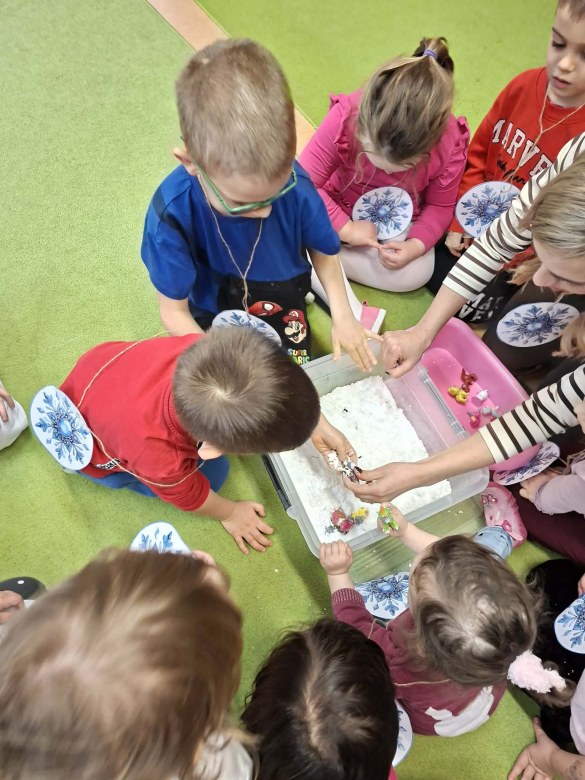 Sówki: Luty 2026 - Zdjęcie 57