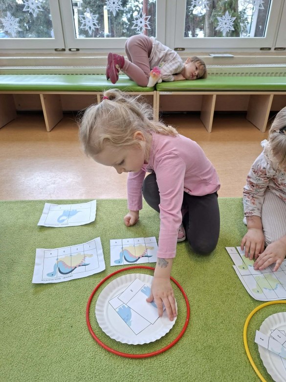 Sówki: Luty 2026 - Zdjęcie 140
