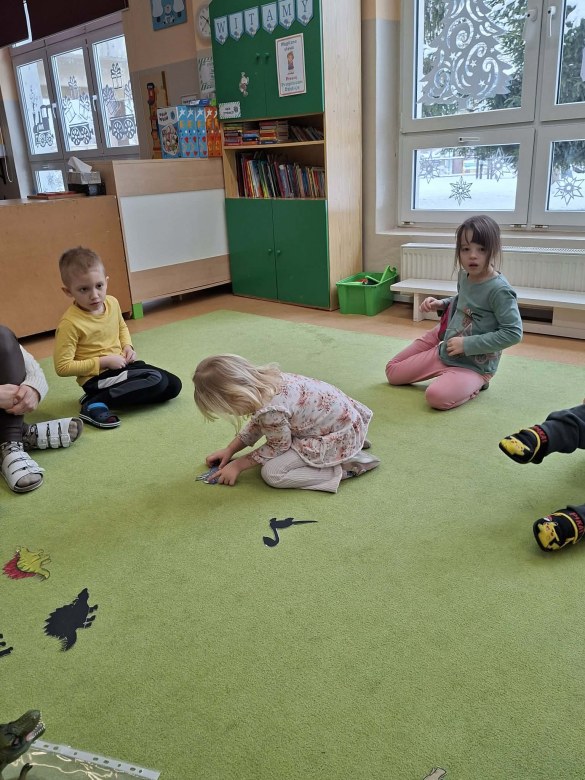 Sówki: Luty 2026 - Zdjęcie 119