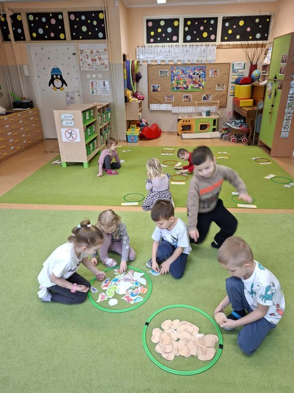 Sówki: Luty 2026 - Zdjęcie 169