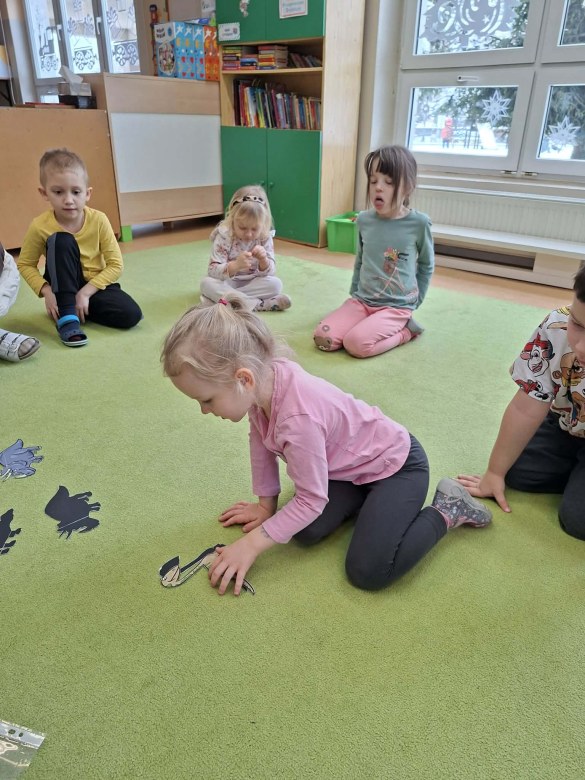 Sówki: Luty 2026 - Zdjęcie 184