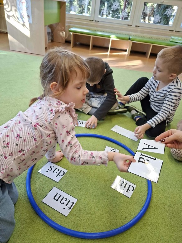 Sówki: Luty 2026 - Zdjęcie 280
