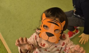 Sówki: Luty 2026 - Zdjęcie 288