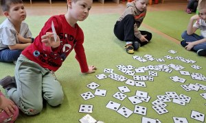 Sówki: Luty 2026 - Zdjęcie 300