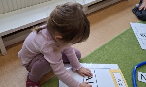 Sówki: Luty 2026 - Zdjęcie 305