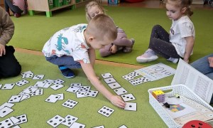 Sówki: Luty 2026 - Zdjęcie 312