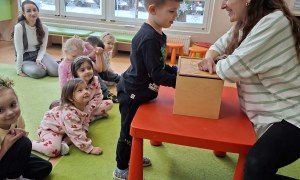 Sówki: Luty 2026 - Zdjęcie 321