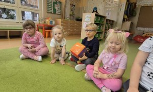 Sówki: Luty 2026 - Zdjęcie 325