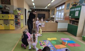 Sówki: Luty 2026 - Zdjęcie 343