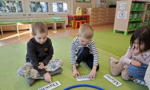 Sówki: Luty 2026 - Zdjęcie 372