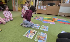 Sówki: Luty 2026 - Zdjęcie 375