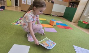 Sówki: Luty 2026 - Zdjęcie 386