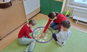 Sówki: Luty 2026 - Zdjęcie 41