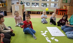 Sówki: Luty 2026 - Zdjęcie 42