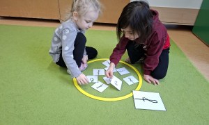 Sówki: Luty 2026 - Zdjęcie 58