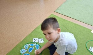 Sówki: Luty 2026 - Zdjęcie 102