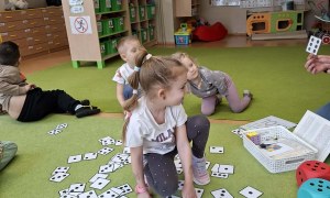 Sówki: Luty 2026 - Zdjęcie 139