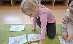 Sówki: Luty 2026 - Zdjęcie 140