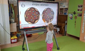 Sówki: Luty 2026 - Zdjęcie 158
