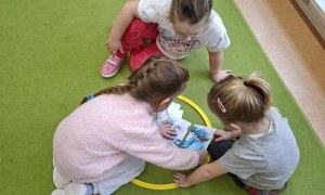 Sówki: Luty 2026 - Zdjęcie 183
