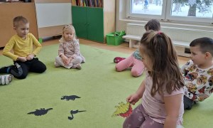 Sówki: Luty 2026 - Zdjęcie 191