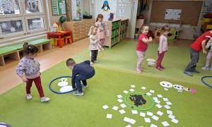 Sówki: Luty 2026 - Zdjęcie 203