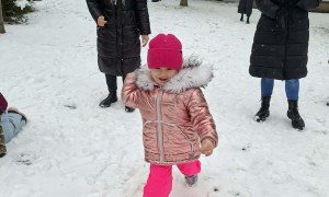 Sówki: Luty 2026 - Zdjęcie 218