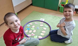 Sówki: Luty 2026 - Zdjęcie 222