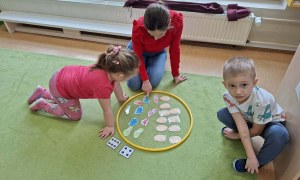 Sówki: Luty 2026 - Zdjęcie 227