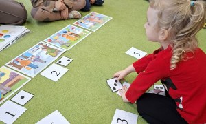 Sówki: Luty 2026 - Zdjęcie 231