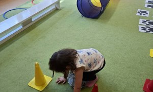 Sówki: Luty 2026 - Zdjęcie 240