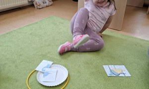 Sówki: Luty 2026 - Zdjęcie 255