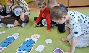 Sówki: Luty 2026 - Zdjęcie 282
