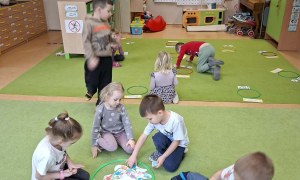 Sówki: Luty 2026 - Zdjęcie 4