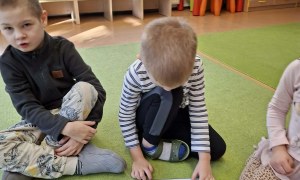 Sówki: Luty 2026 - Zdjęcie 9