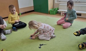Sówki: Luty 2026 - Zdjęcie 119