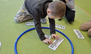 Sówki: Luty 2026 - Zdjęcie 126