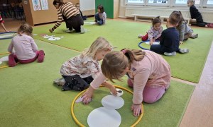 Sówki: Luty 2026 - Zdjęcie 125