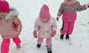 Sówki: Luty 2026 - Zdjęcie 129