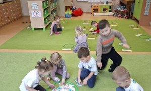 Sówki: Luty 2026 - Zdjęcie 169