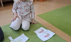 Sówki: Luty 2026 - Zdjęcie 167