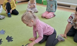 Sówki: Luty 2026 - Zdjęcie 184
