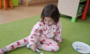 Sówki: Luty 2026 - Zdjęcie 206