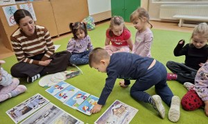 Sówki: Luty 2026 - Zdjęcie 208