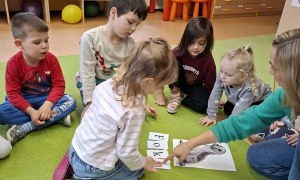Sówki: Luty 2026 - Zdjęcie 210