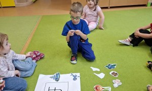 Sówki: Luty 2026 - Zdjęcie 225